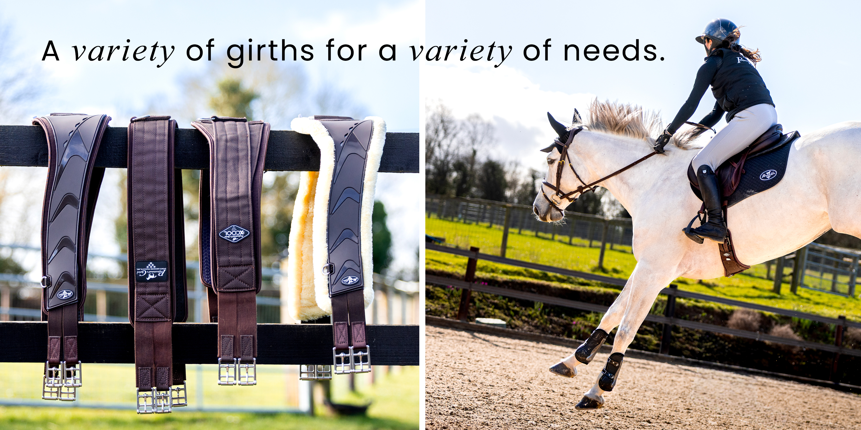 Engineered for Peak Equine Performance
