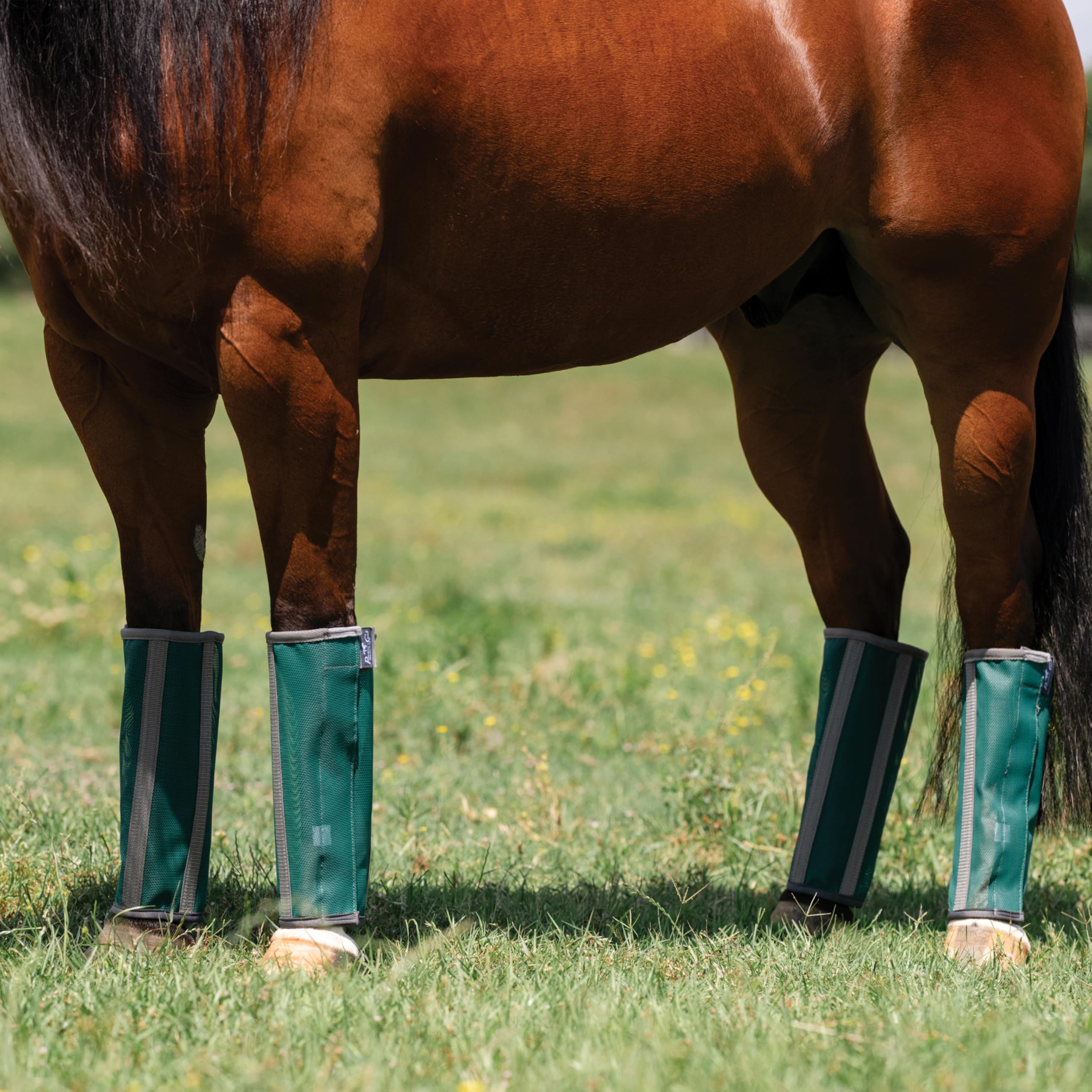 Professional's Choice Deluxe Fly Boots | Breathable Mesh | 4 Pack - Image 3